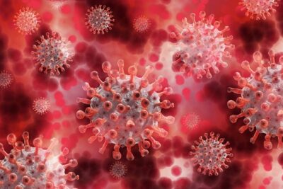 VOTE NO on the WHO Pandemic Treaty